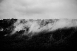 Eine Wolke zieht vor einer Waldlandschaft vorbei